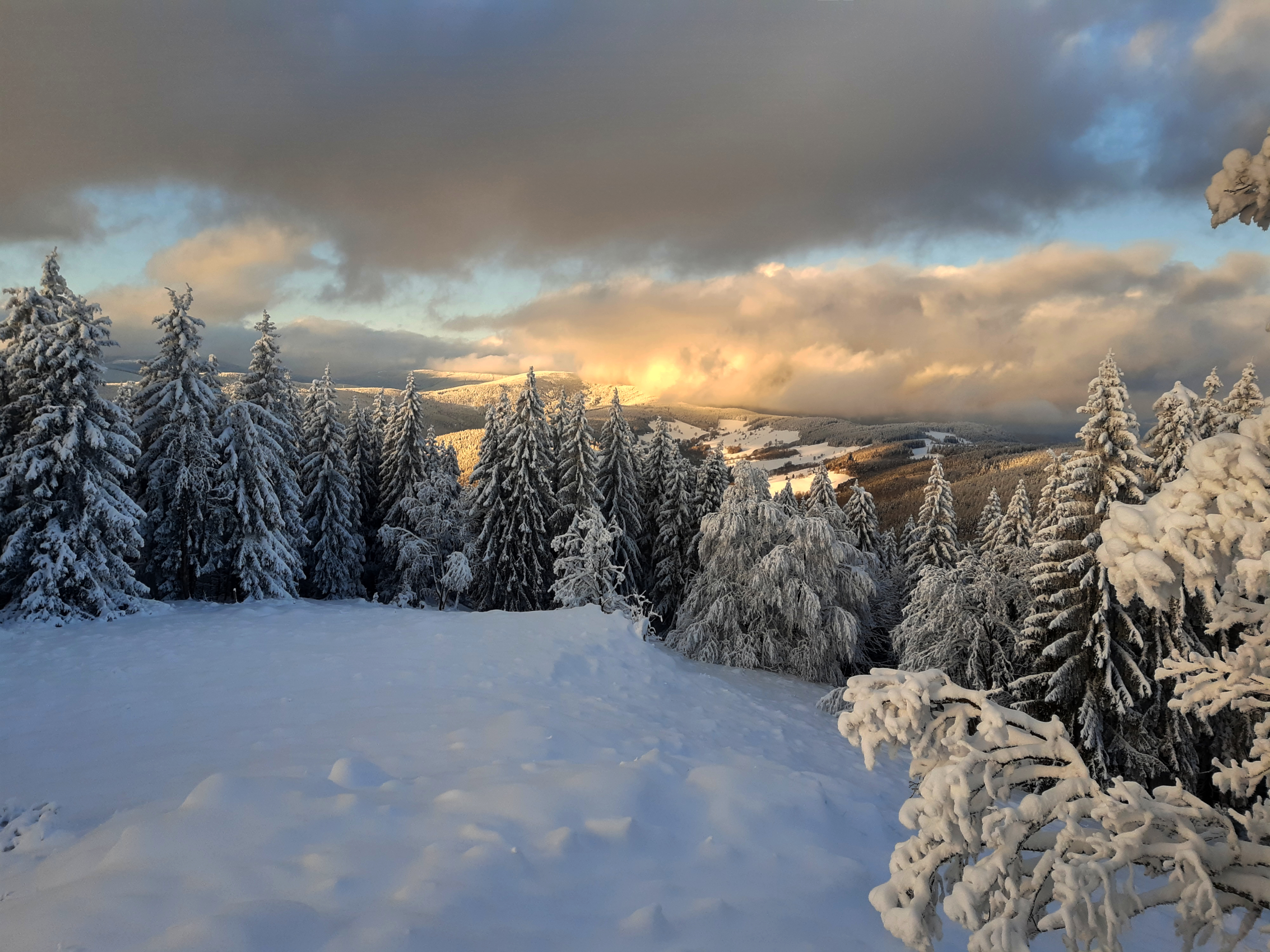Krkonoše